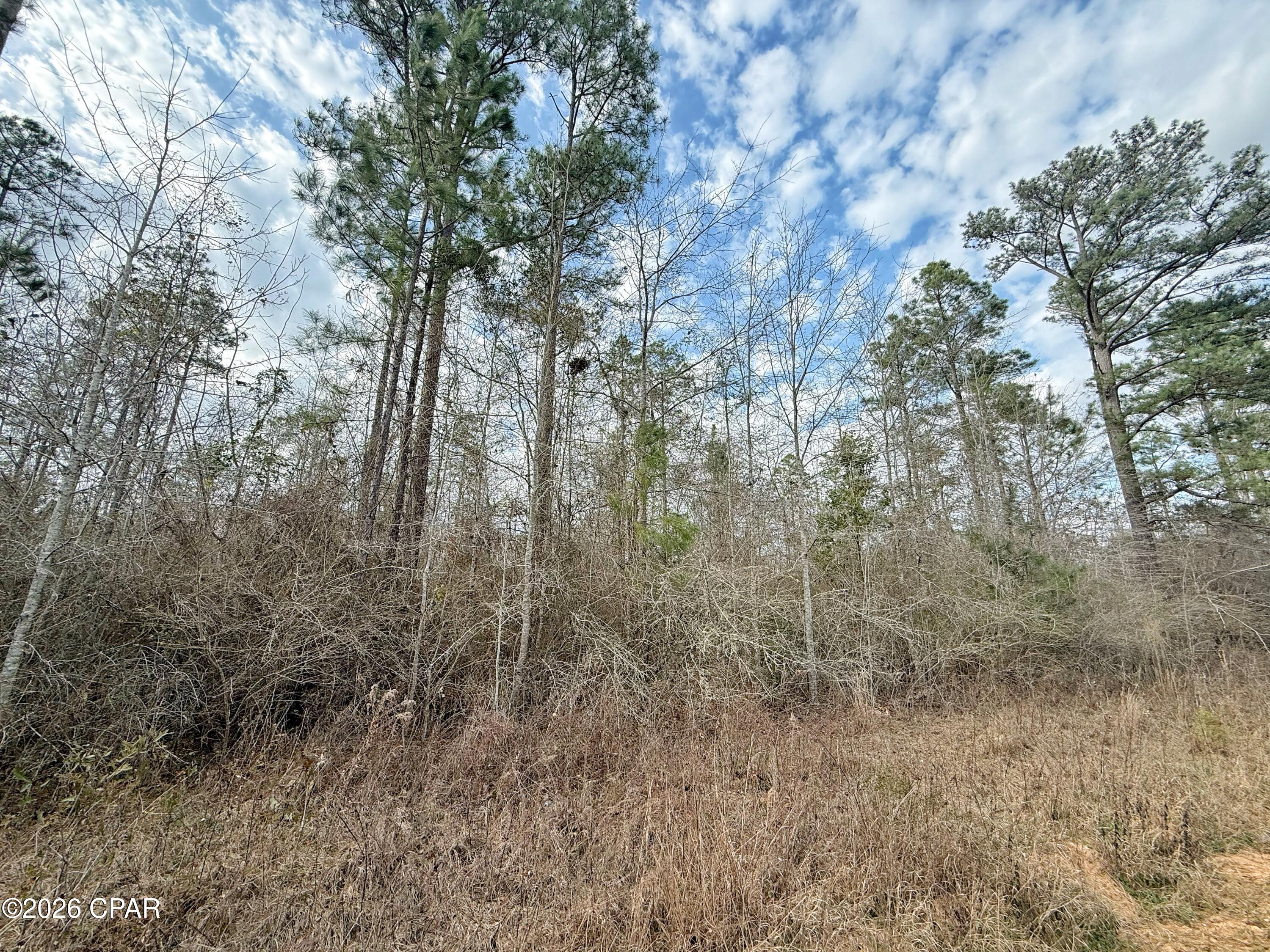 1718 Palmview Road Cottondale, FL 32431 - Photo 3 of 6