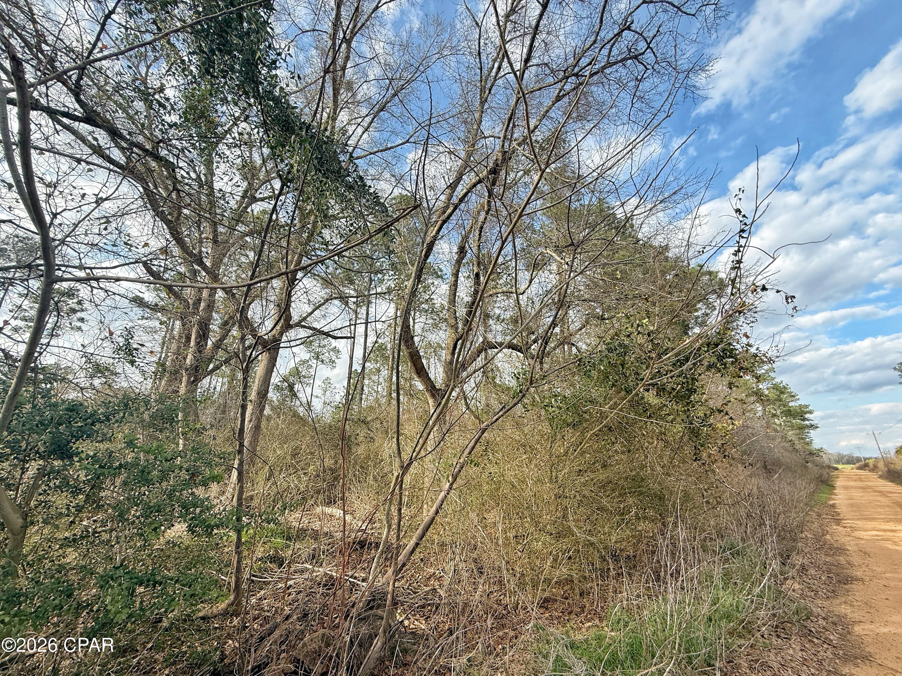 1718 Palmview Road Cottondale, FL 32431 - Photo 4 of 6