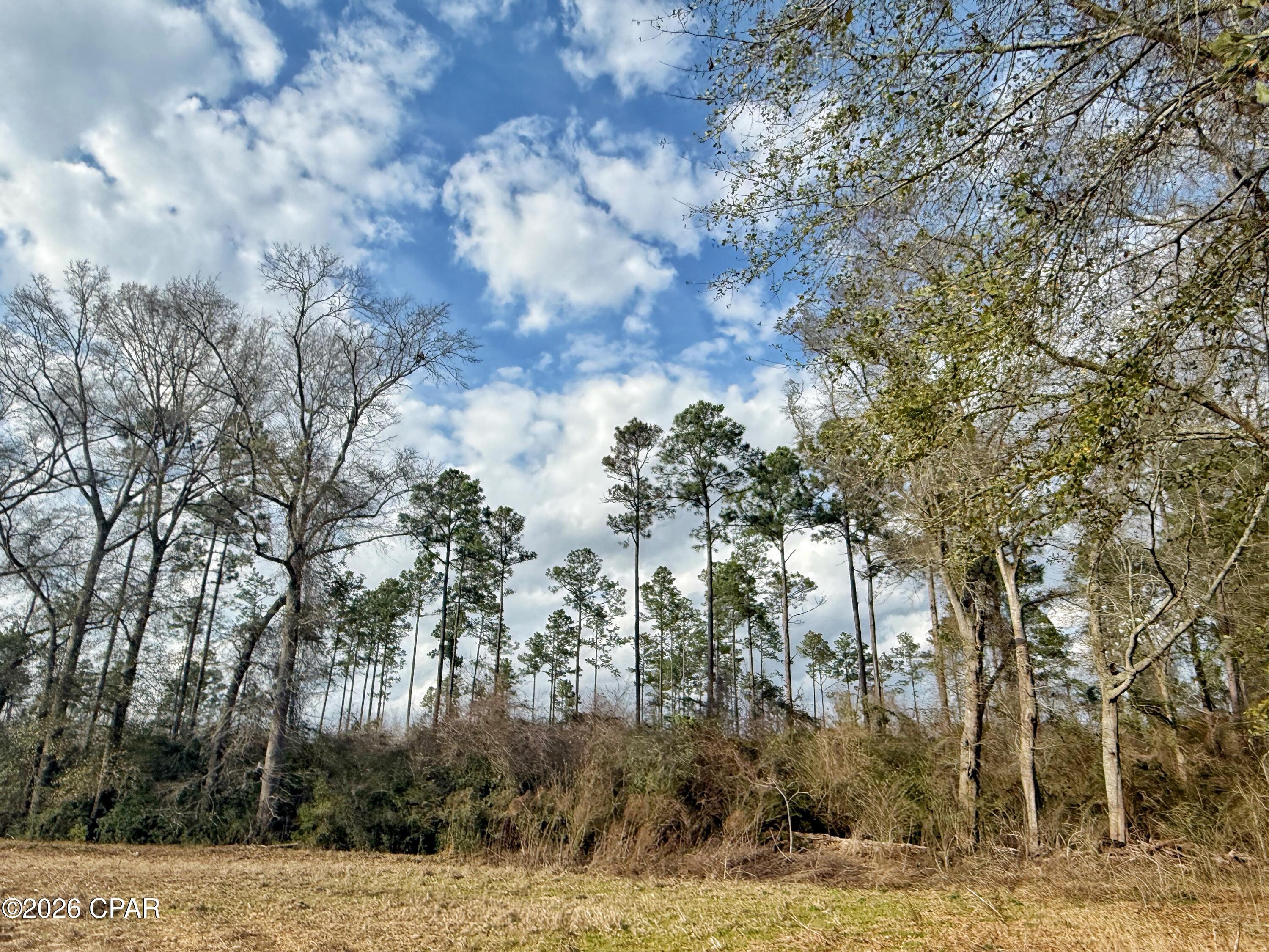 1718 Palmview Road Cottondale, FL 32431 - Photo 5 of 6