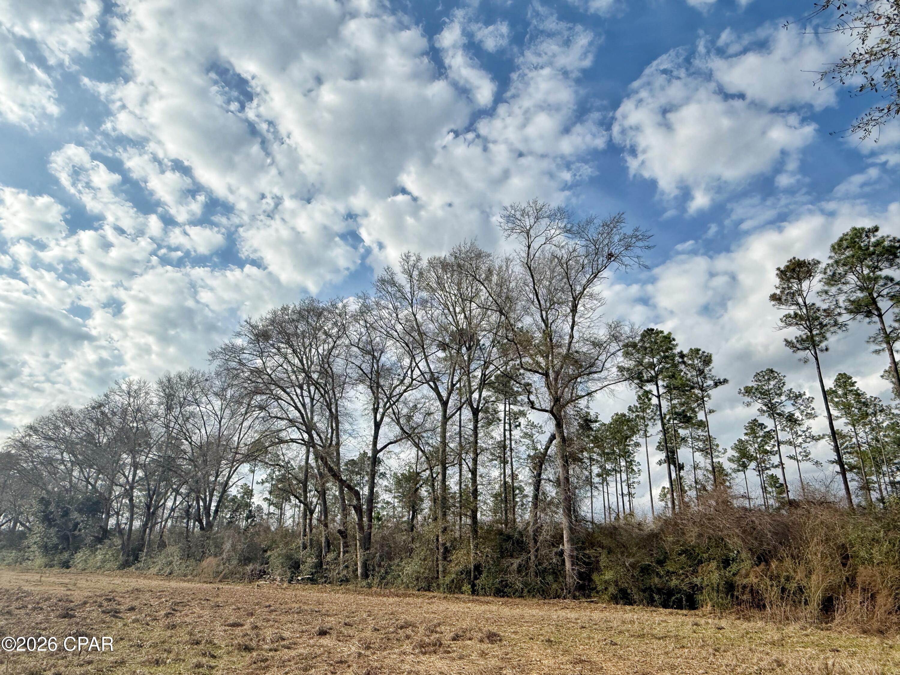 1718 Palmview Road Cottondale, FL 32431 - Photo 6 of 6