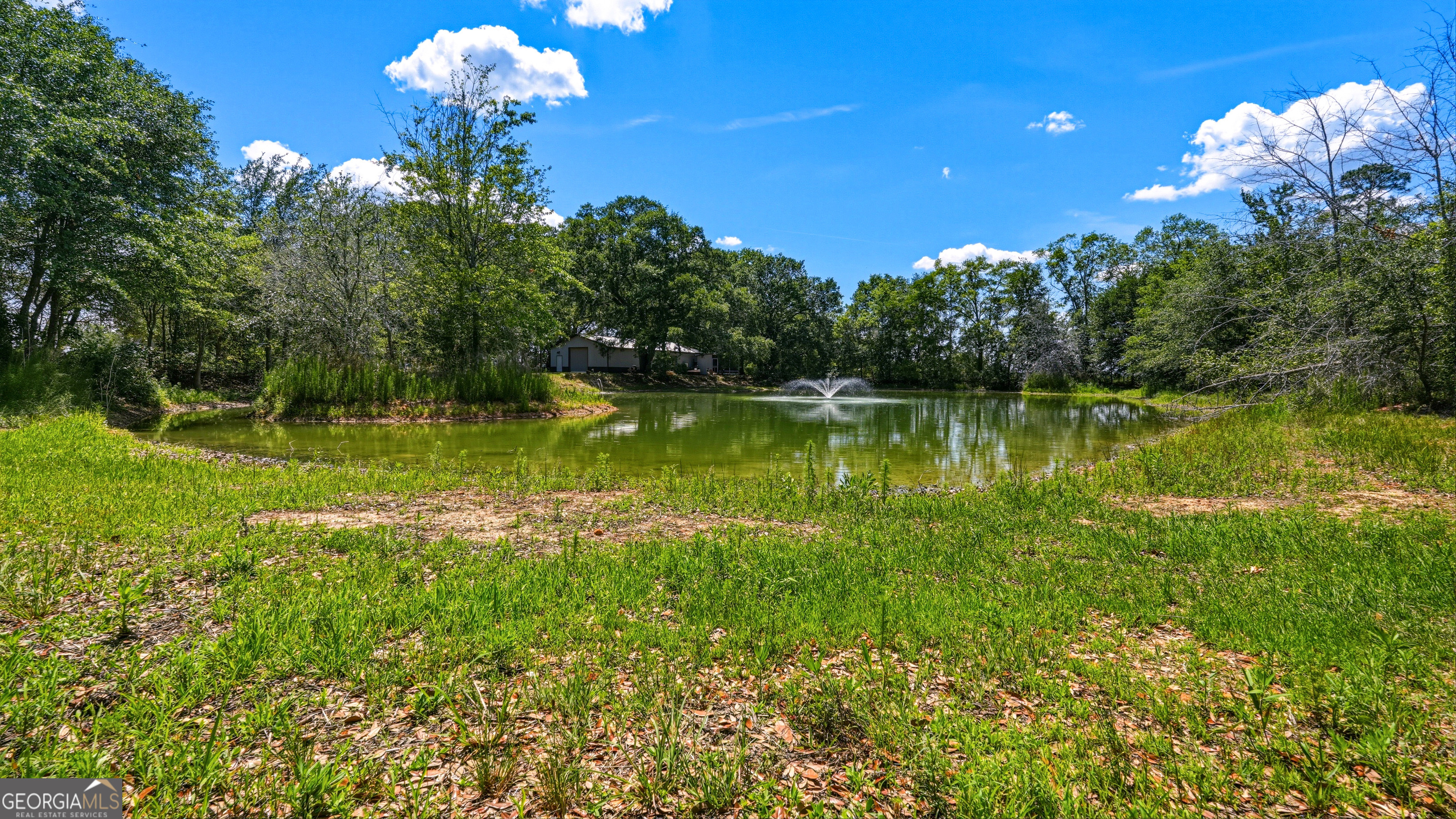 0 Ritch Church Road Screven, GA 31560 - Photo 42 of 43