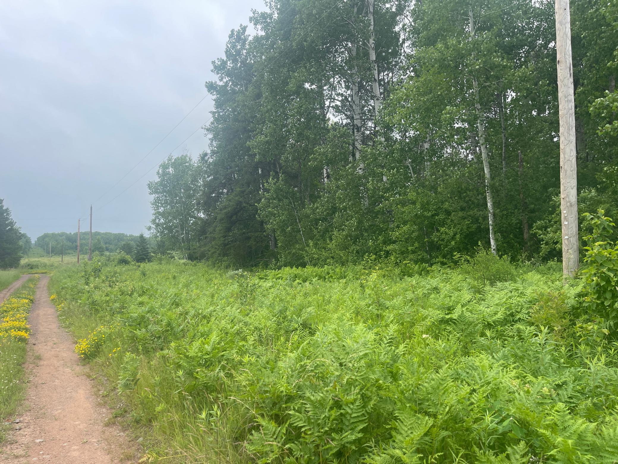 Tbd Degerstrom Road Askov, MN 55704 - Photo 4 of 7