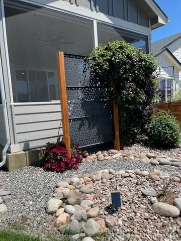 a picture of flowers