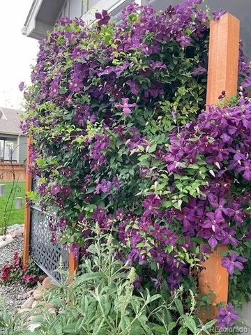 a view of a yard with a house and snow