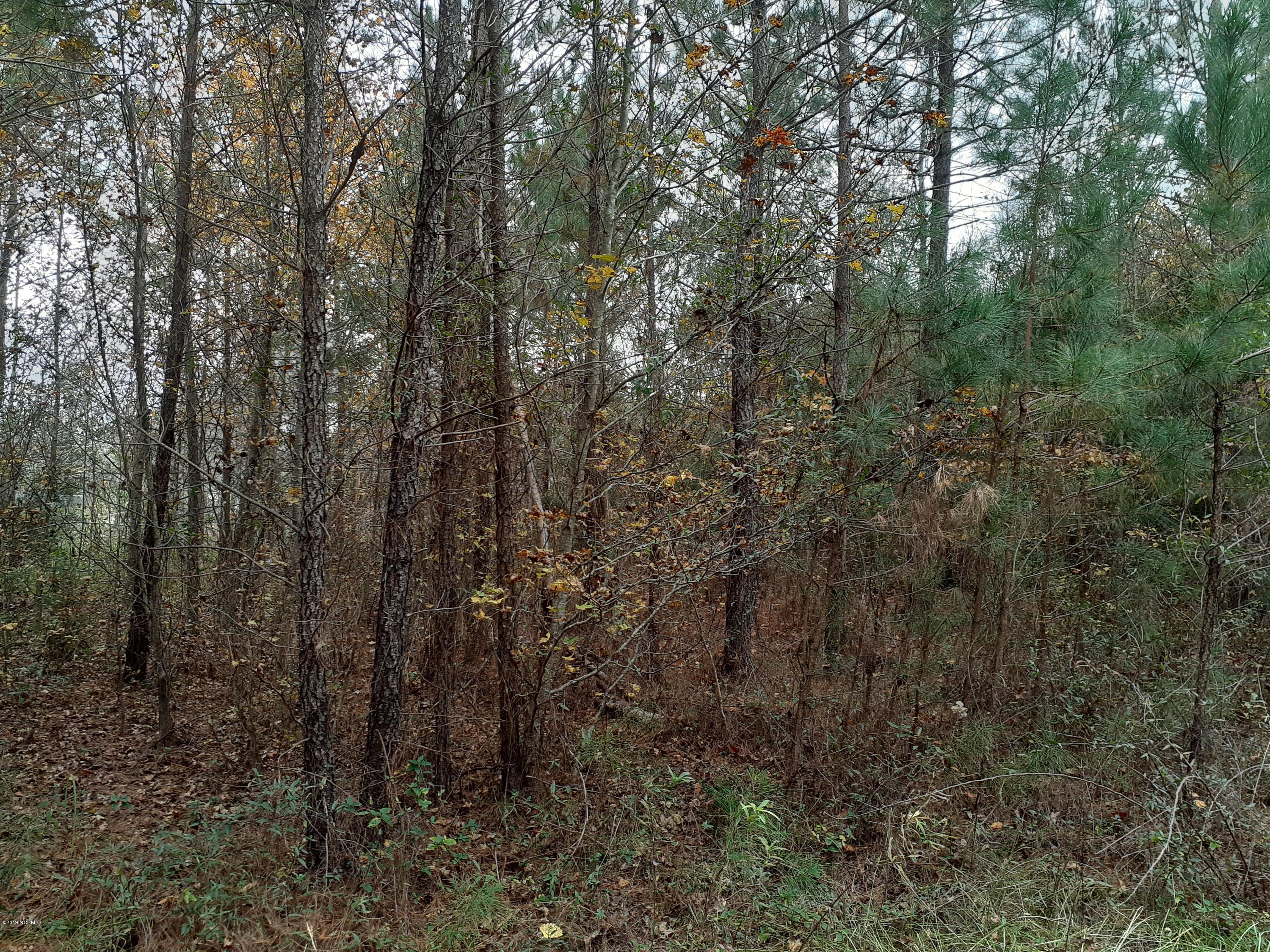 5495 Goose Neck Road Northeast Riegelwood, NC 28456 - Photo 4 of 14 20191130_131109
