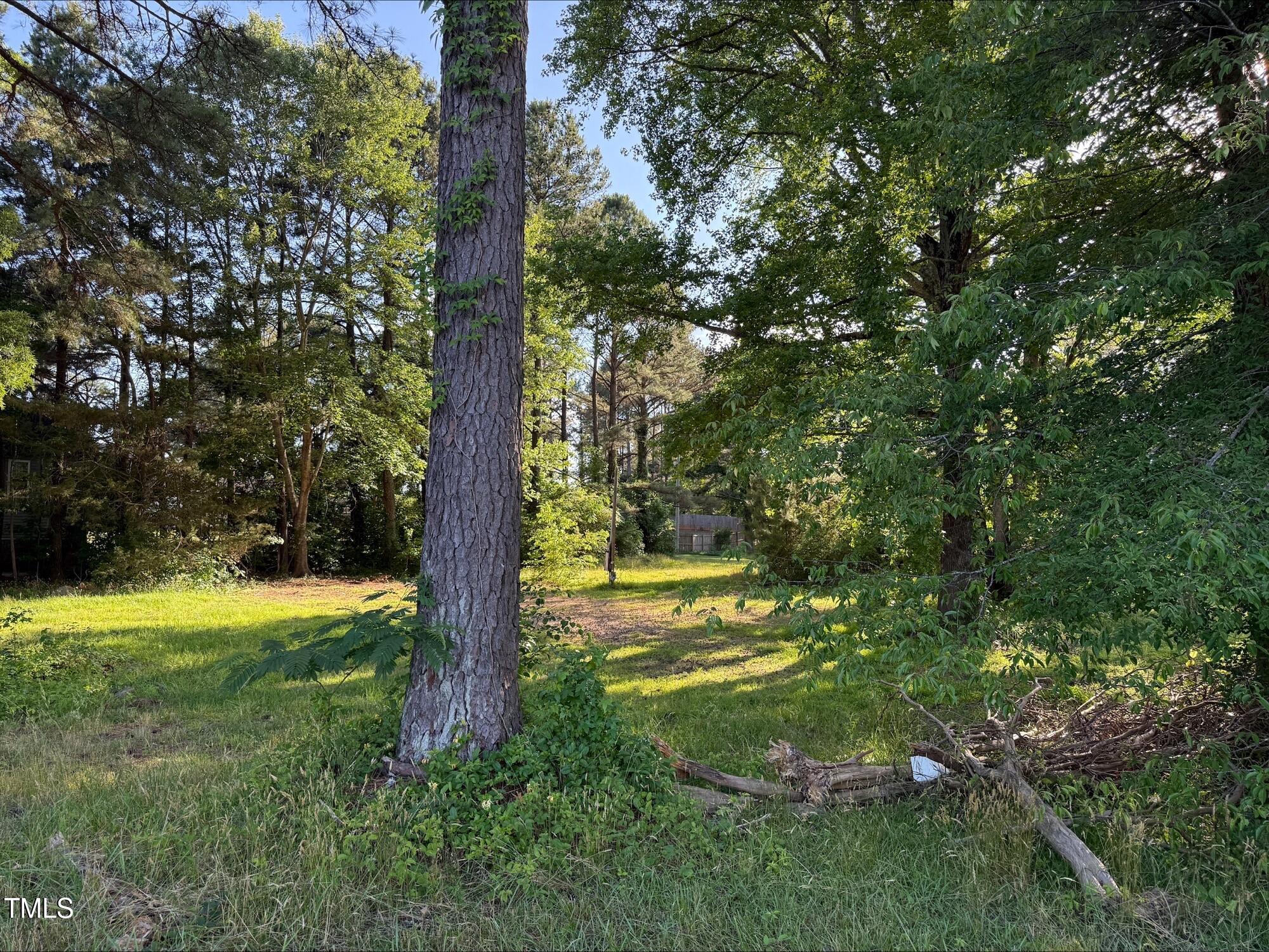 63 Mount Olivet Church Road Franklinton, NC 27525 - Photo 7 of 12 processed-A7ED1484-318C-4A43-A11B-94712D