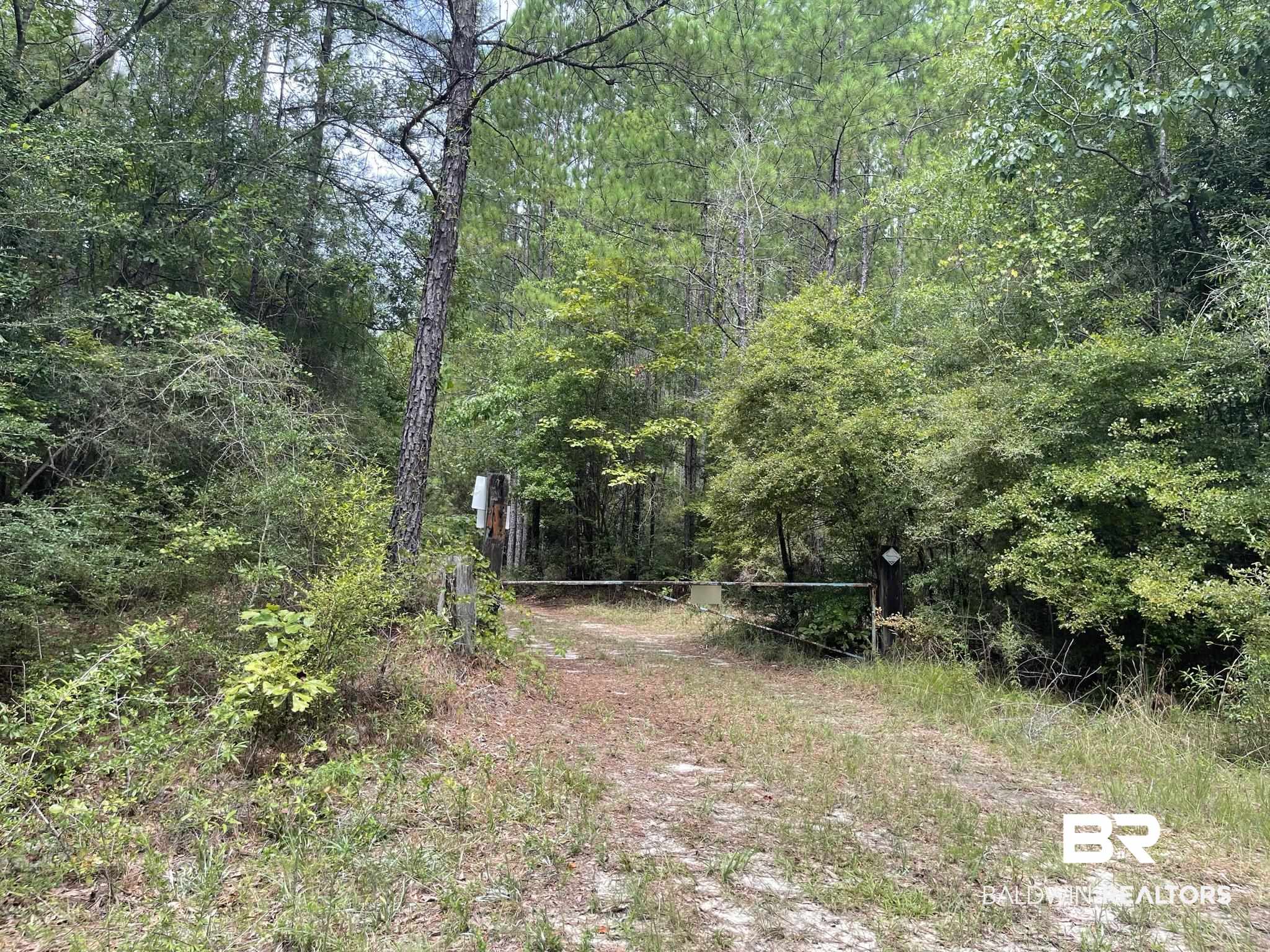 0 County Road 11 Wing, AL 36483 - Photo 20 of 37
