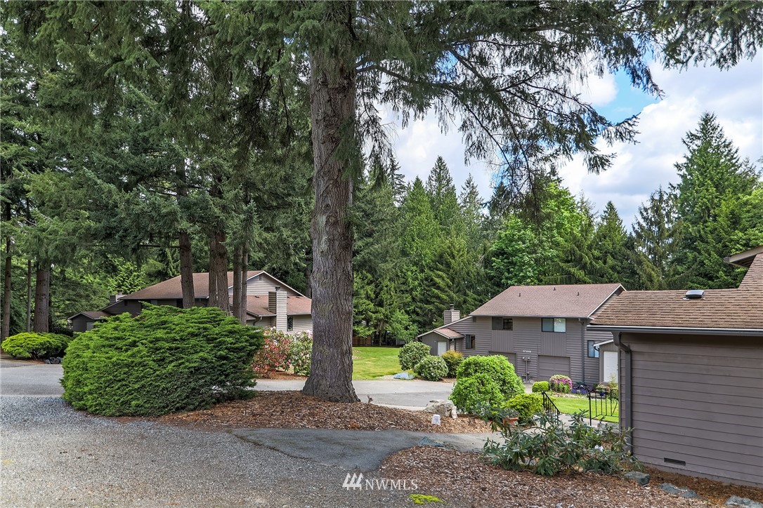 17215 Gravenstein Road Bothell, WA 98012 - Photo 11 of 13 a view of a back yard