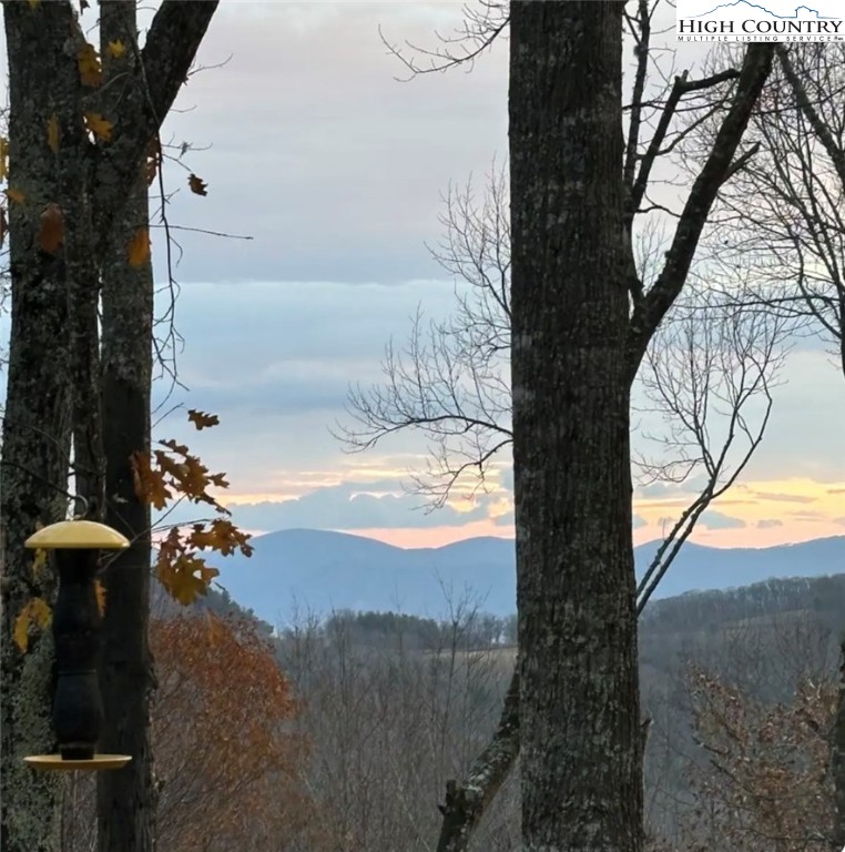 304 St Andrews Road Beech Mountain, NC 28604 - Photo 13 of 33 a view of a yard with an outdoor space