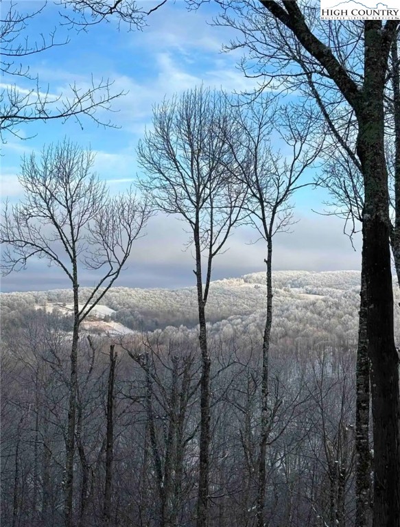 304 St Andrews Road Beech Mountain, NC 28604 - Photo 30 of 33 a view of a backyard of the house