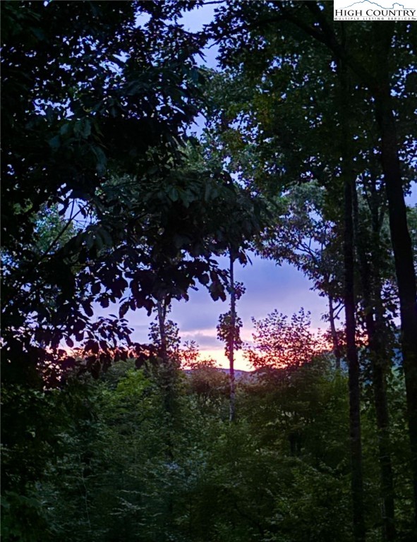 304 St Andrews Road Beech Mountain, NC 28604 - Photo 33 of 33 a view of a tree in a yard