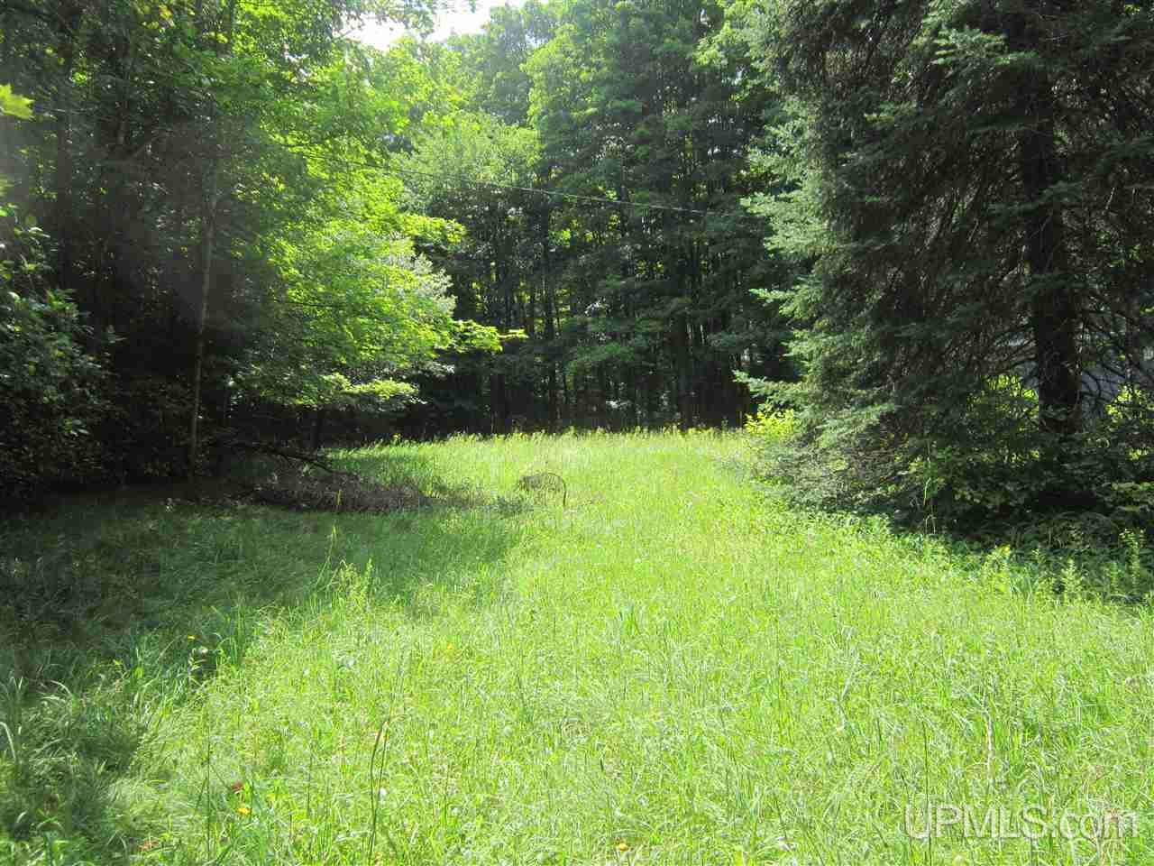 N4227 Et Road Eben Junction, MI 49816 - Photo 19 of 21