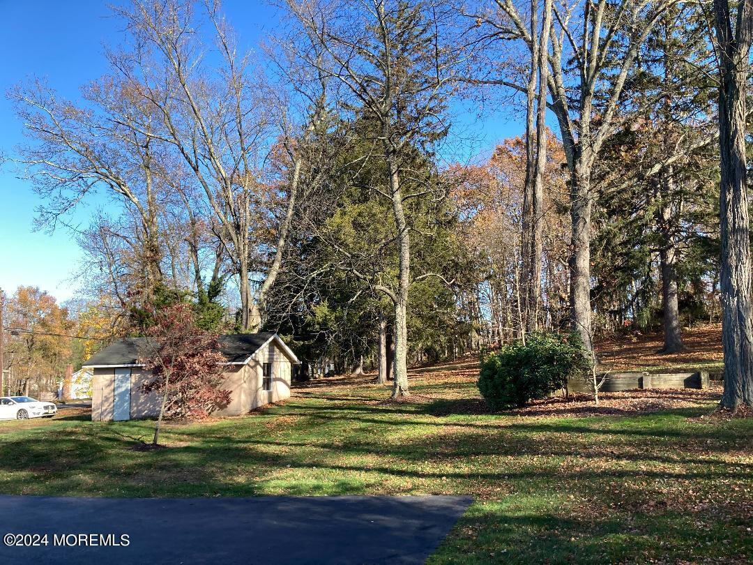 103 Taylors Mills Road Manalapan, NJ 07726 - Photo 26 of 34 Side Yard view