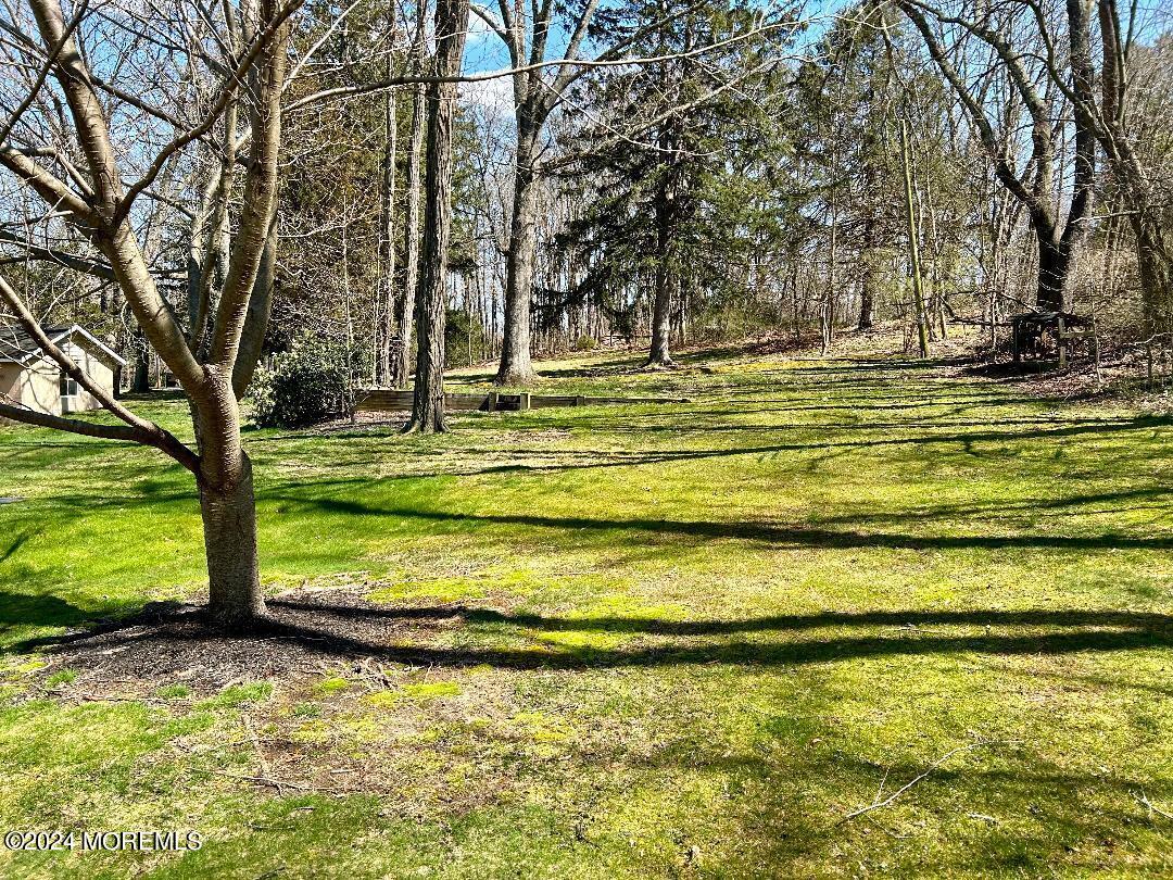 103 Taylors Mills Road Manalapan, NJ 07726 - Photo 28 of 34 Parklike Setting