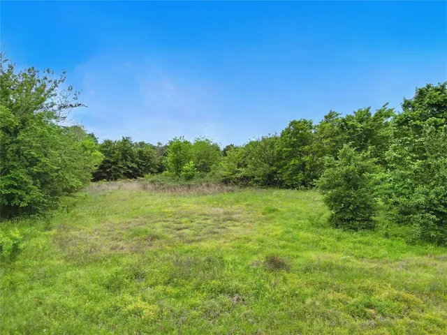 a yard with lots of green space