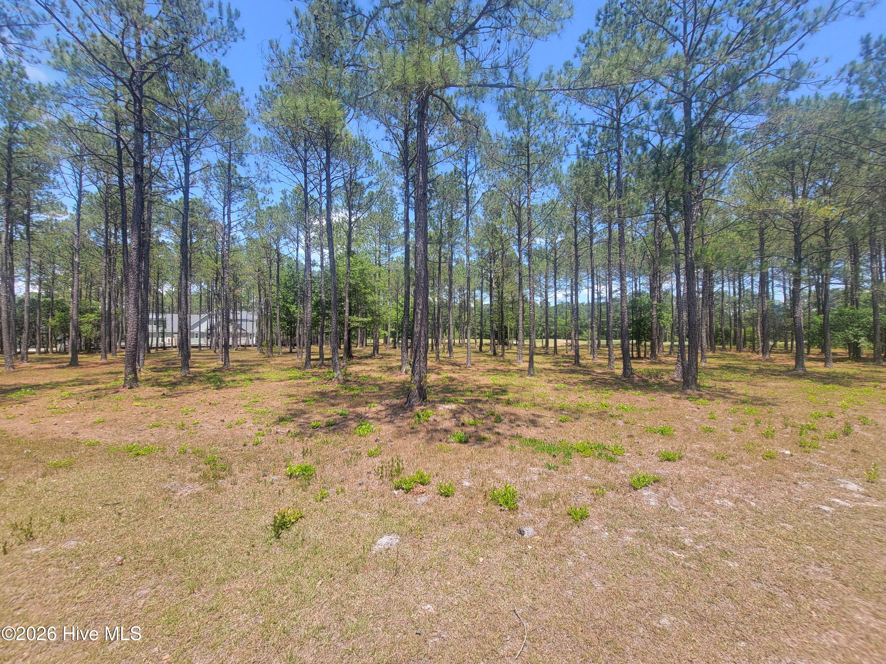 6548 Stonley Circle Southwest Ocean Isle Beach, NC 28469 - Photo 5 of 27 1000033599