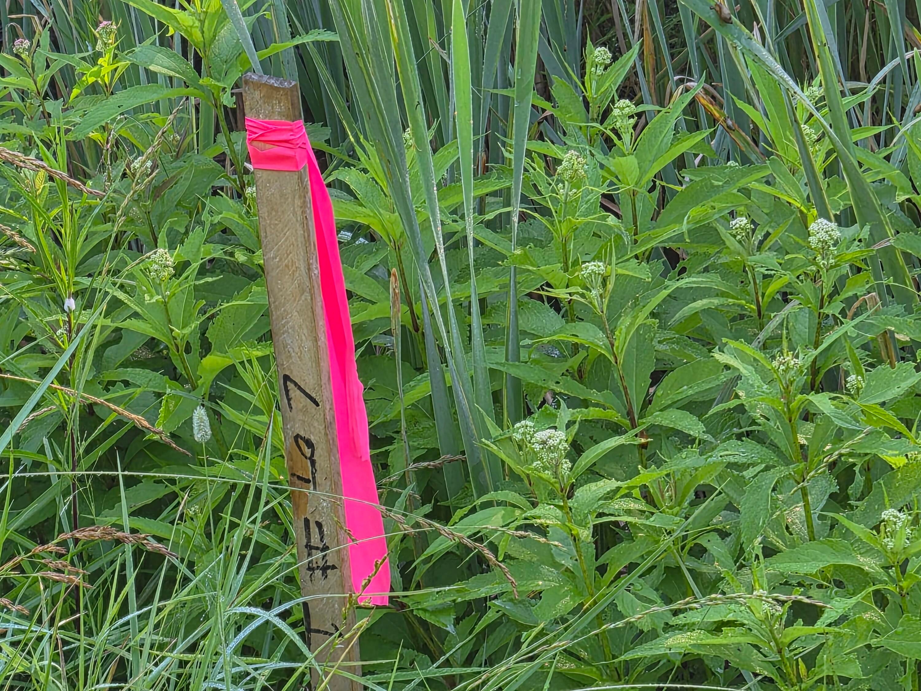 V/l Eagle Point Road Grayling, MI 49738 - Photo 8 of 11 Gallery Image 8