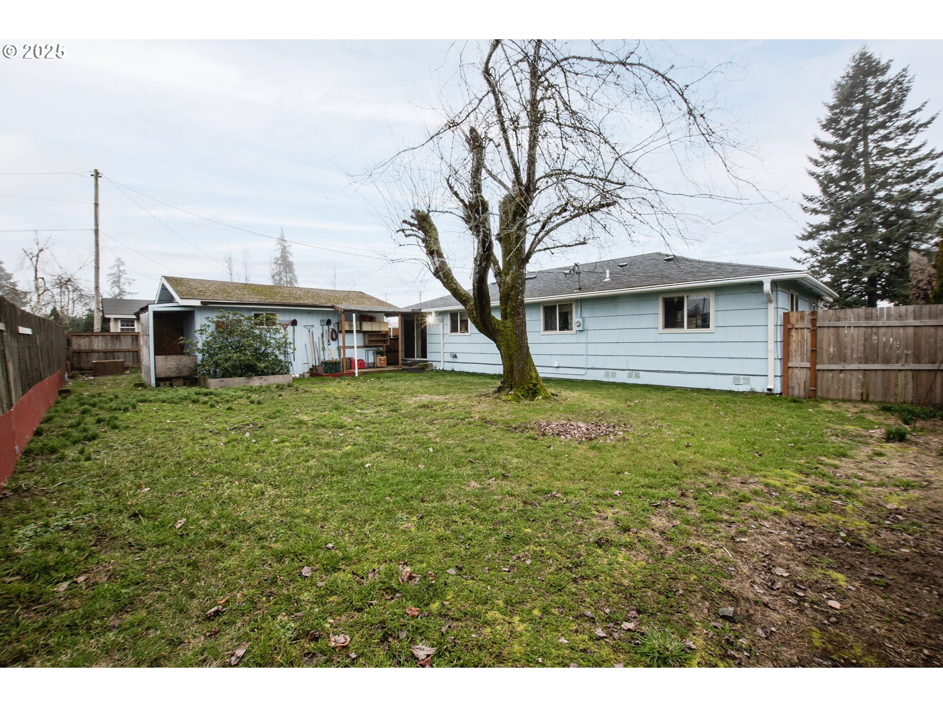 1253 30th Street Springfield, OR 97478 - Photo 14 of 15 a front view of house with yard