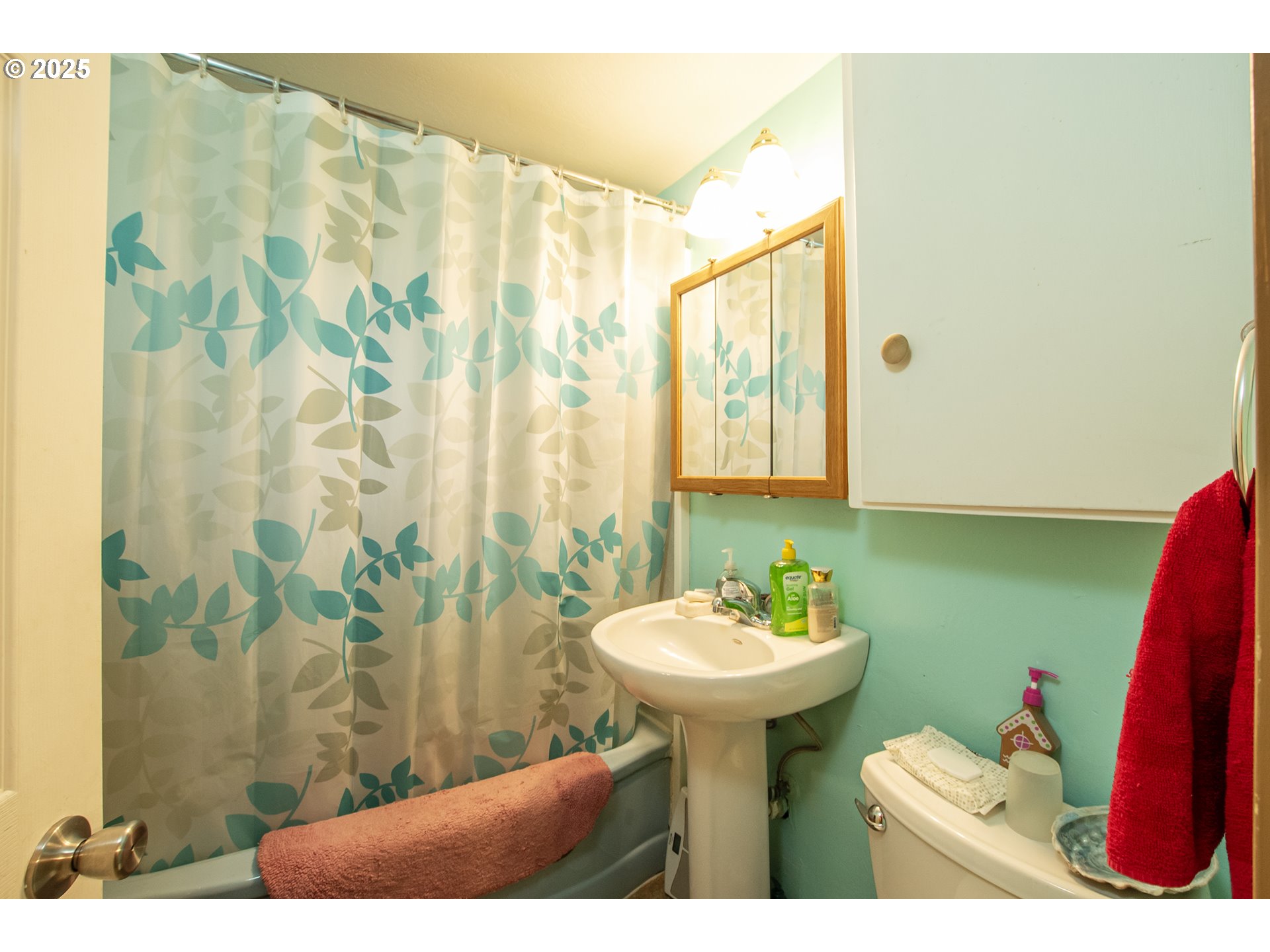 1253 30th Street Springfield, OR 97478 - Photo 8 of 15 a bathroom with a sink and a mirror