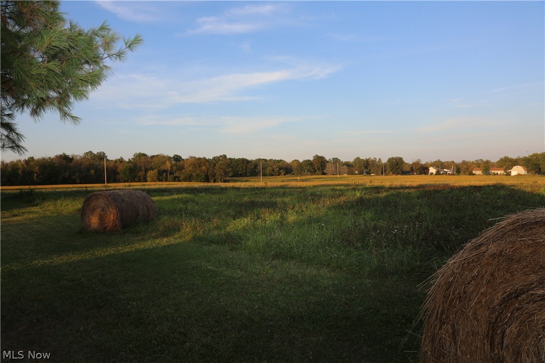 10834 Old Mill Road Spencer, OH 44275 - Photo 33 of 34 5 acre vacant land parcel included