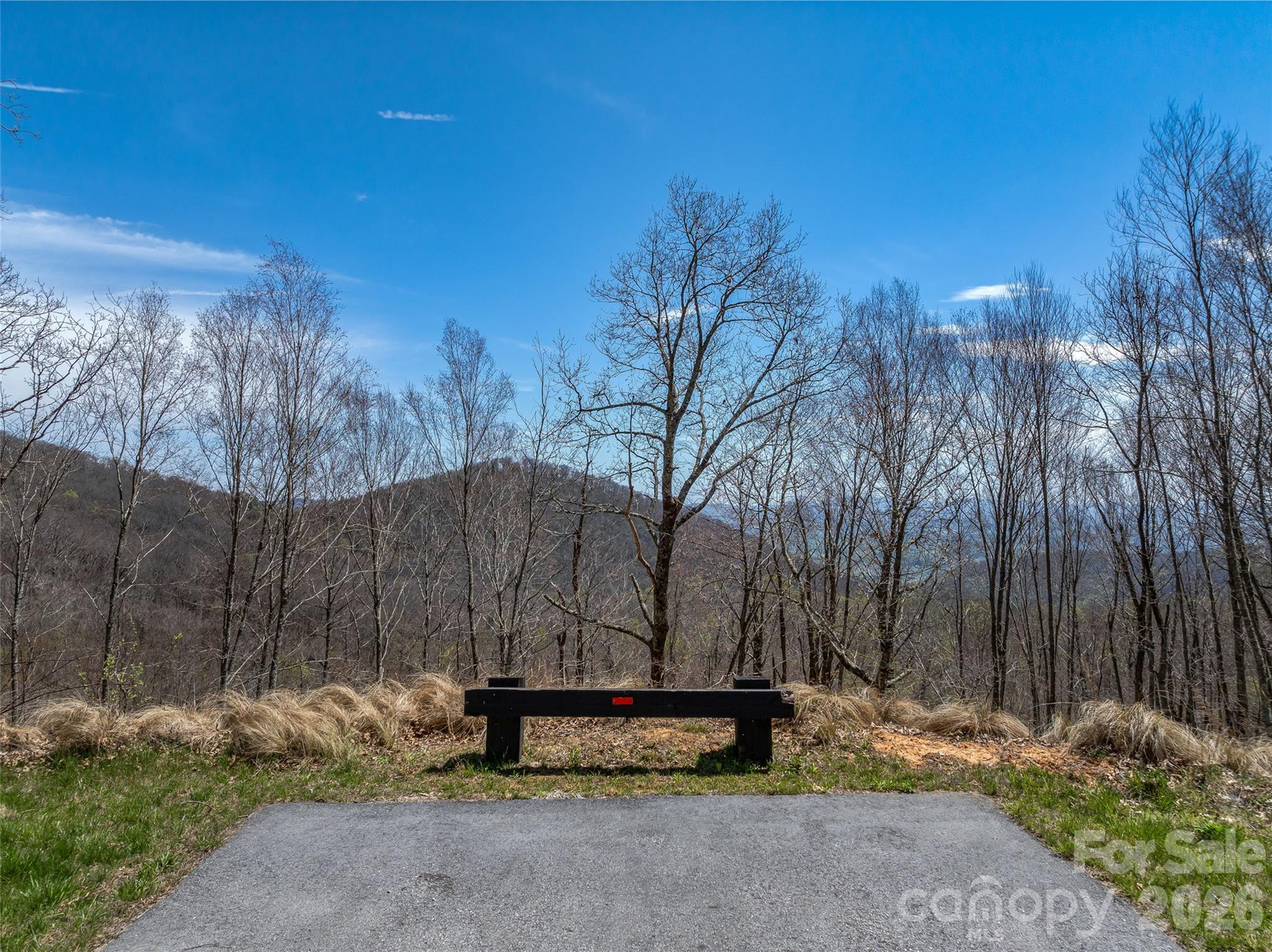 370 Autumn Ridge Lane, Unit 75 Hendersonville, NC 28792 - Photo 12 of 27
