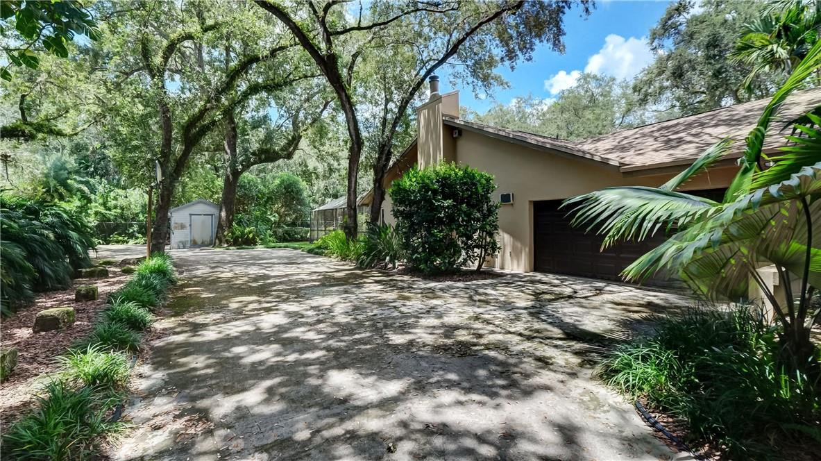 10890 Southwest 83rd Avenue Miami, FL 33156 - Photo 13 of 46 a view of a backyard with plants and large trees