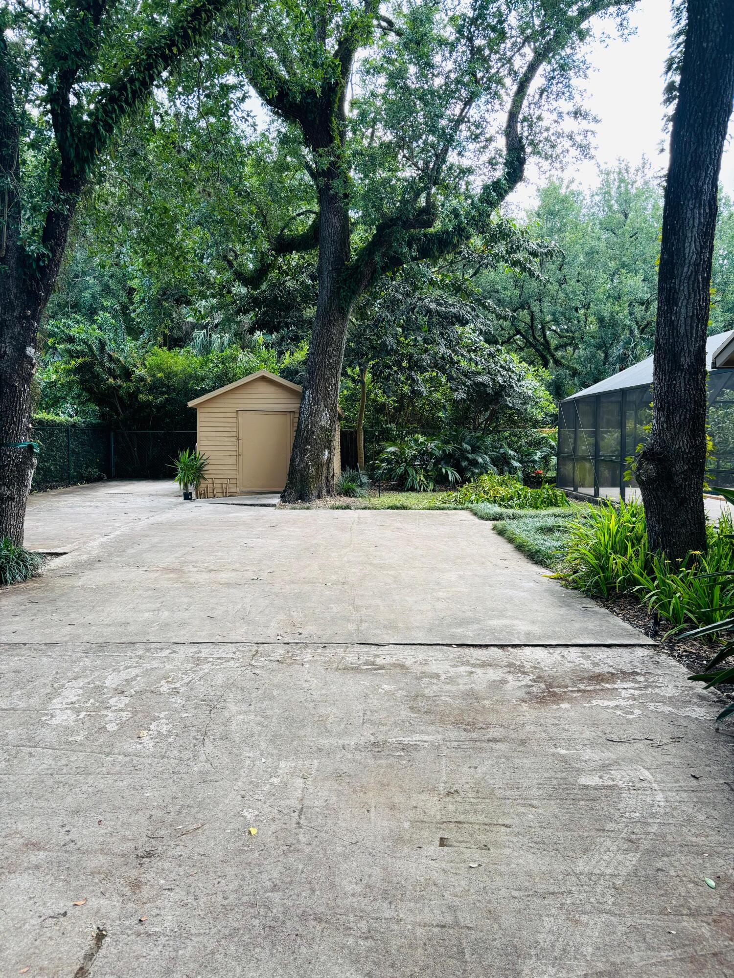 10890 Southwest 83rd Avenue Miami, FL 33156 - Photo 5 of 46 a view of backyard with large trees