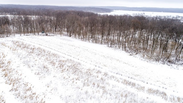6353 South Ridge Road Oregon, IL 61061 - Photo 5 of 40 a view of a yard covered with snow in the background