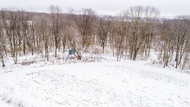 6353 South Ridge Road Oregon, IL 61061 - Photo 9 of 40 a view of snow covered with trees