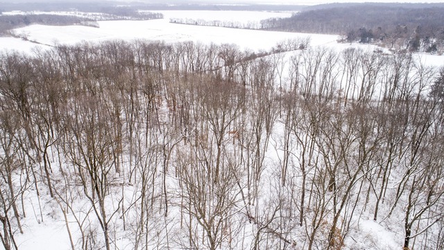 6353 South Ridge Road Oregon, IL 61061 - Photo 10 of 40 a view of lots of trees in a yard