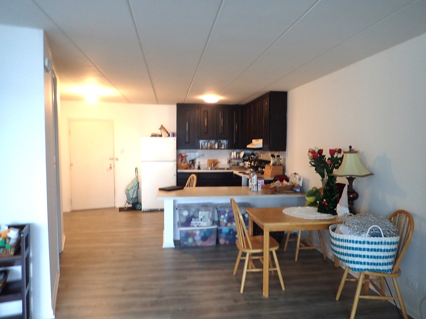 18 East Old Willow Road, Unit 535N Prospect Heights, IL 60070 - Photo 7 of 10