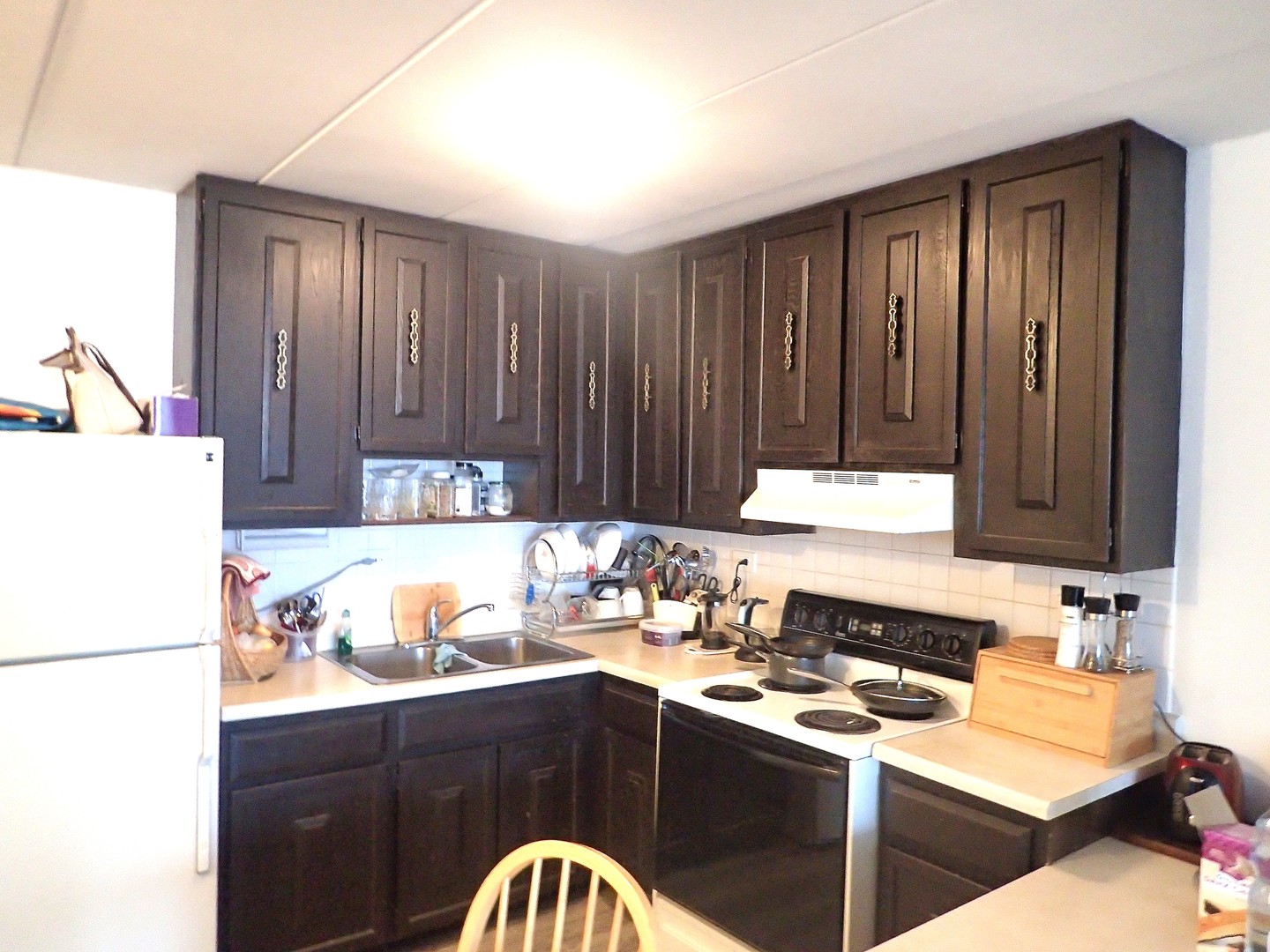 18 East Old Willow Road, Unit 535N Prospect Heights, IL 60070 - Photo 9 of 10