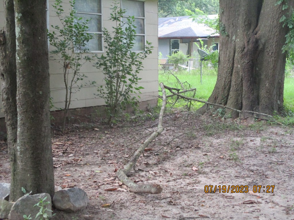 1036 Calvin Avenue Columbus, GA 31903 - Photo 2 of 23 a view of a yard with plants and a bench