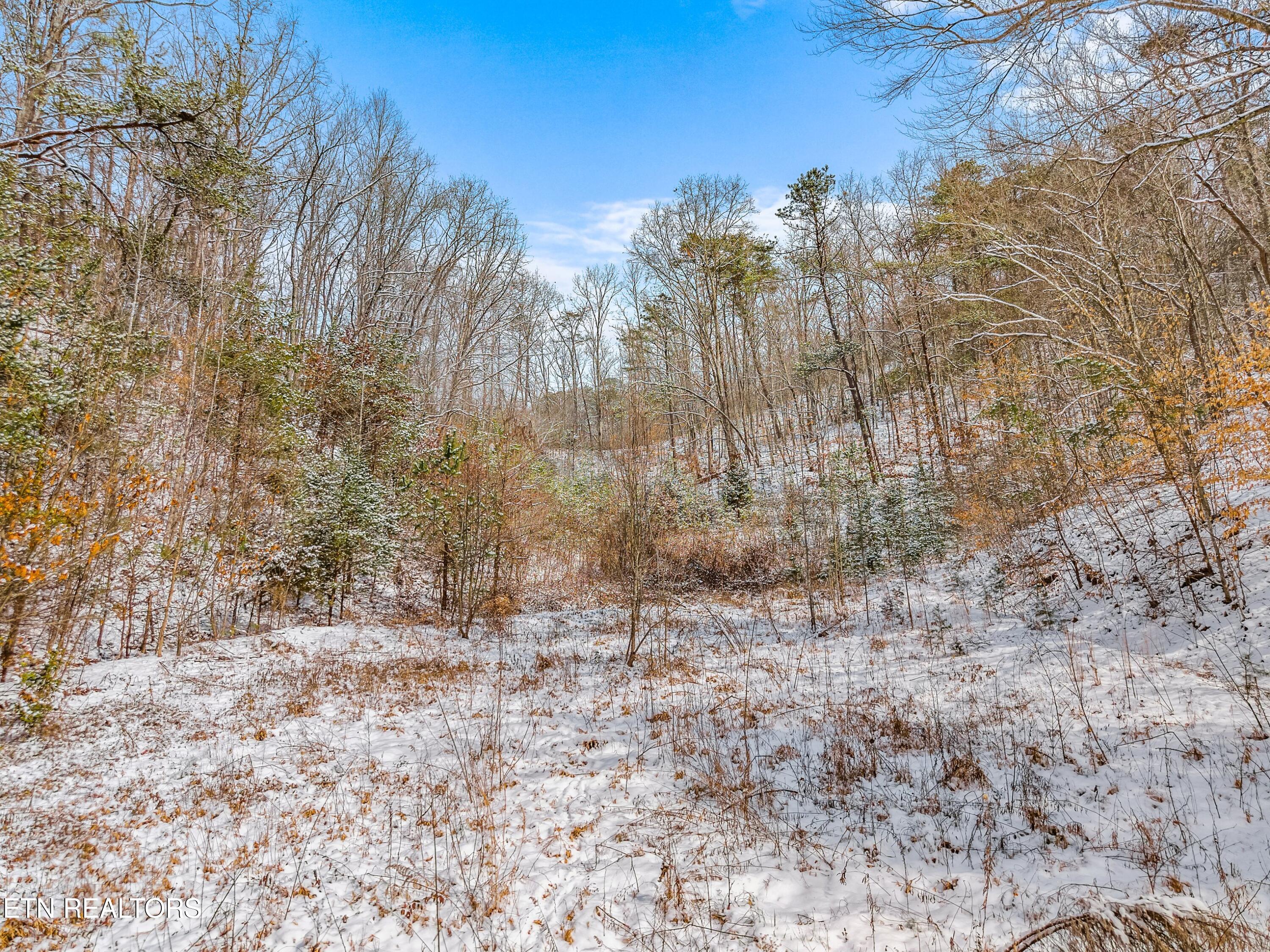 245 Fox Branch Road Kyles Ford, TN 37765 - Photo 25 of 41 046-245FoxBranchRoad-KylesFord-TN-37765-