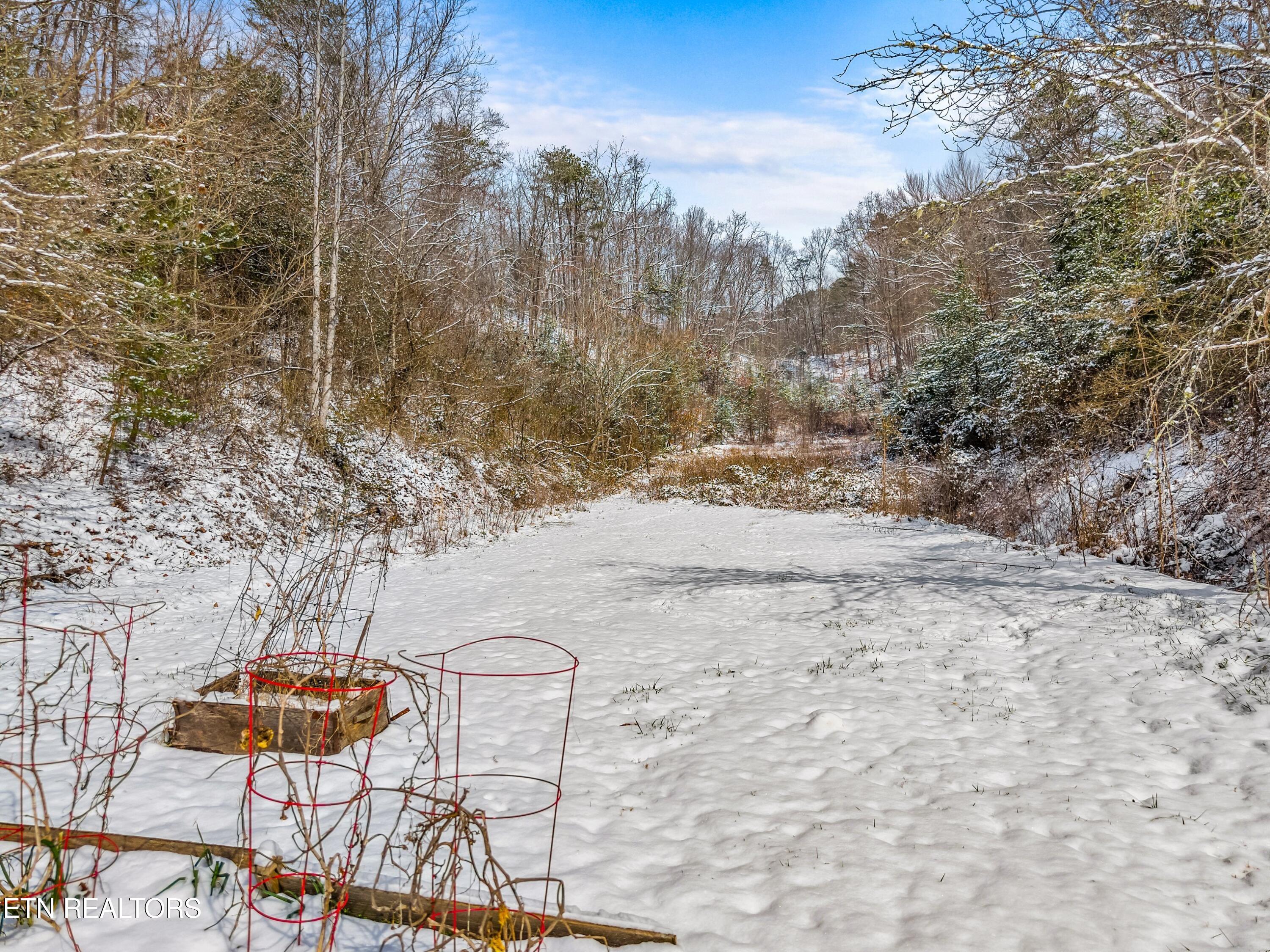 245 Fox Branch Road Kyles Ford, TN 37765 - Photo 28 of 41 045-245FoxBranchRoad-KylesFord-TN-37765-