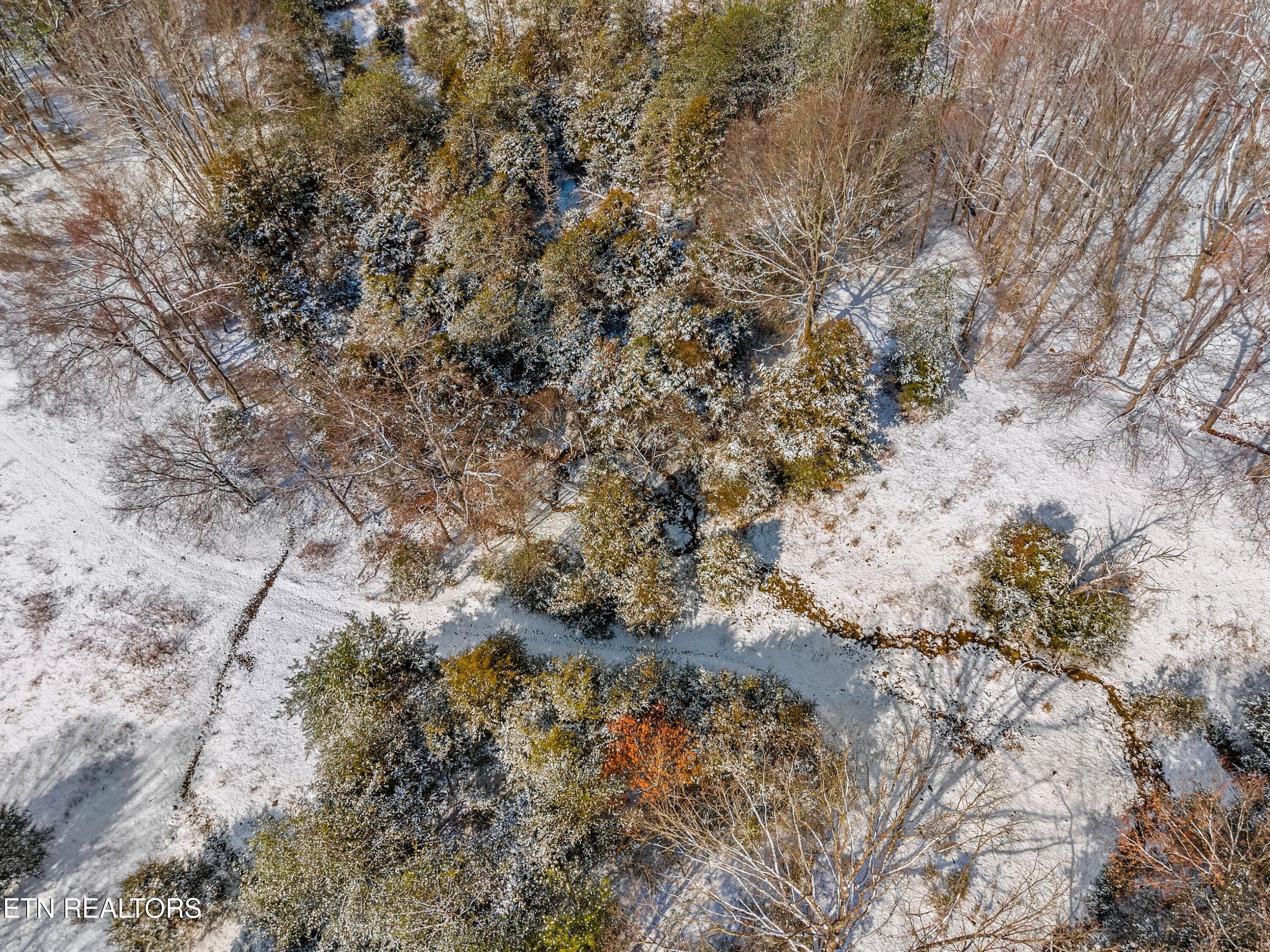 245 Fox Branch Road Kyles Ford, TN 37765 - Photo 29 of 41 040-245FoxBranchRoad-KylesFord-TN-37765-