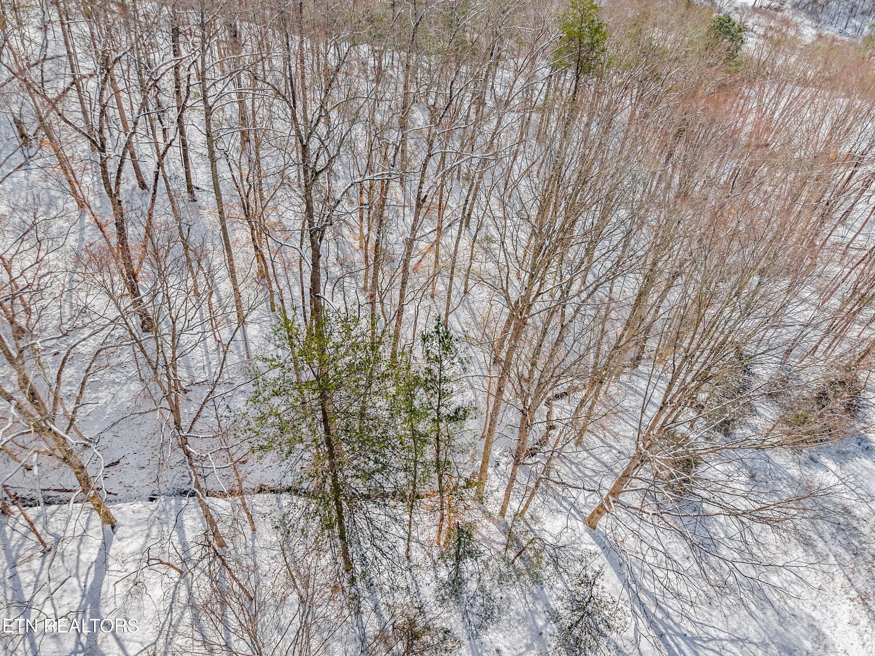 245 Fox Branch Road Kyles Ford, TN 37765 - Photo 35 of 41 041-245FoxBranchRoad-KylesFord-TN-37765-