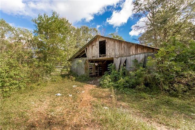 30825 Lavigne Road Albany, LA 70711 - Photo 24 of 38 Gallery Image 24