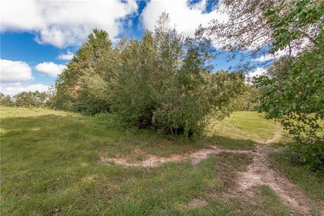 30825 Lavigne Road Albany, LA 70711 - Photo 33 of 38 Gallery Image 33