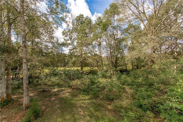 30825 Lavigne Road Albany, LA 70711 - Photo 34 of 38 Gallery Image 34