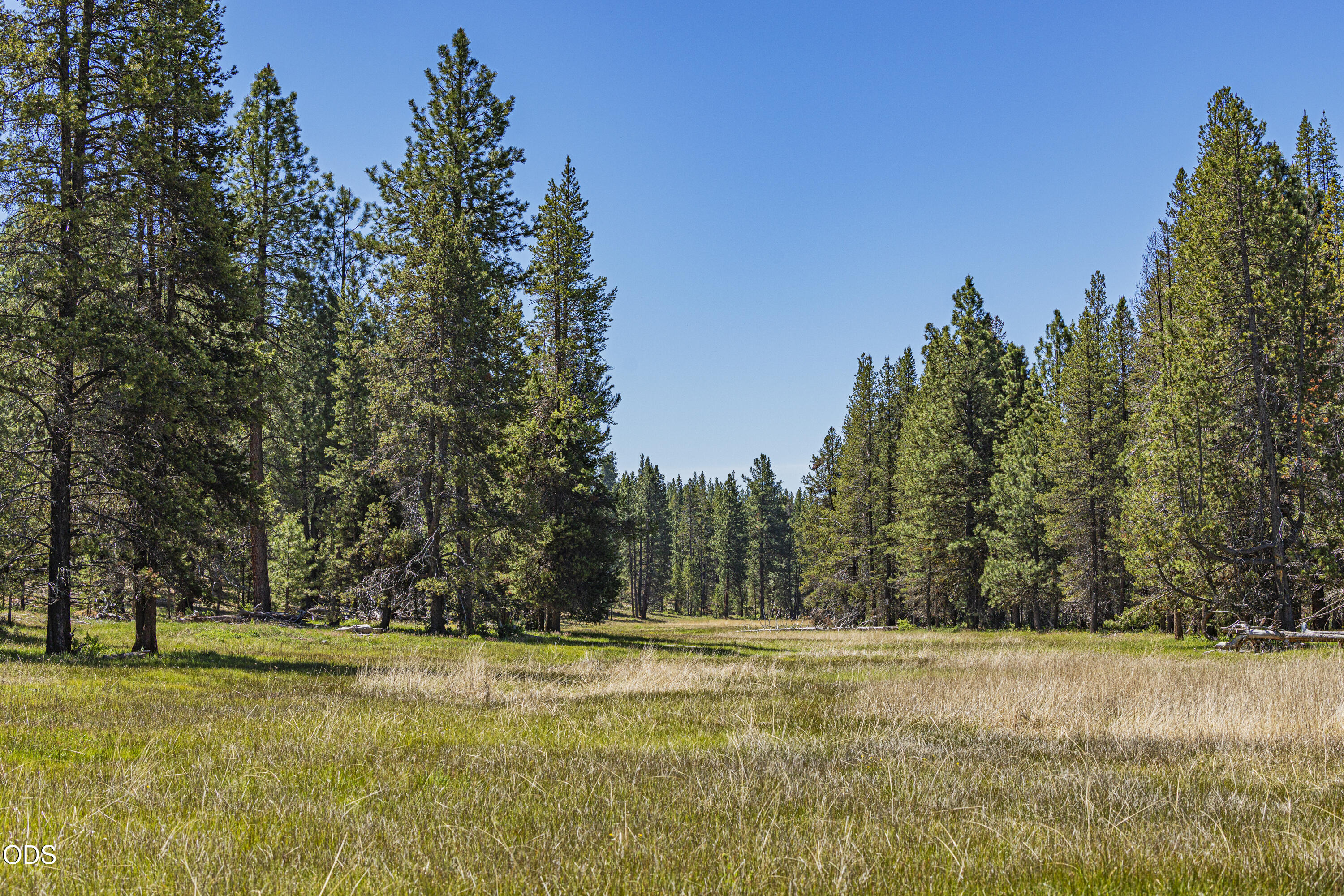 Williamson River Road, Unit 206226 Chiloquin, OR 97624 - Photo 32 of 50
