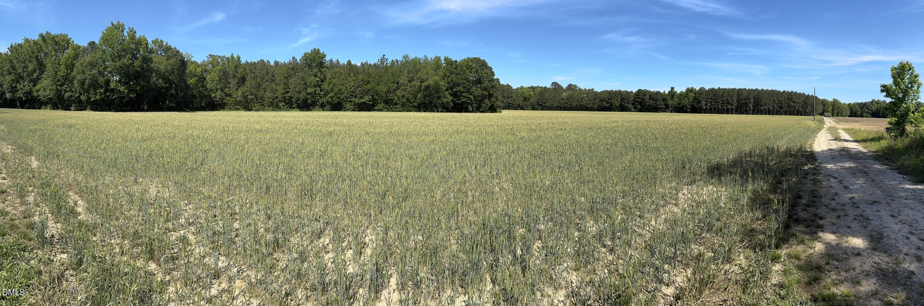 0 Stevens Sausage Road Smithfield, NC 27577 - Photo 8 of 8 a view of a field with an ocean view