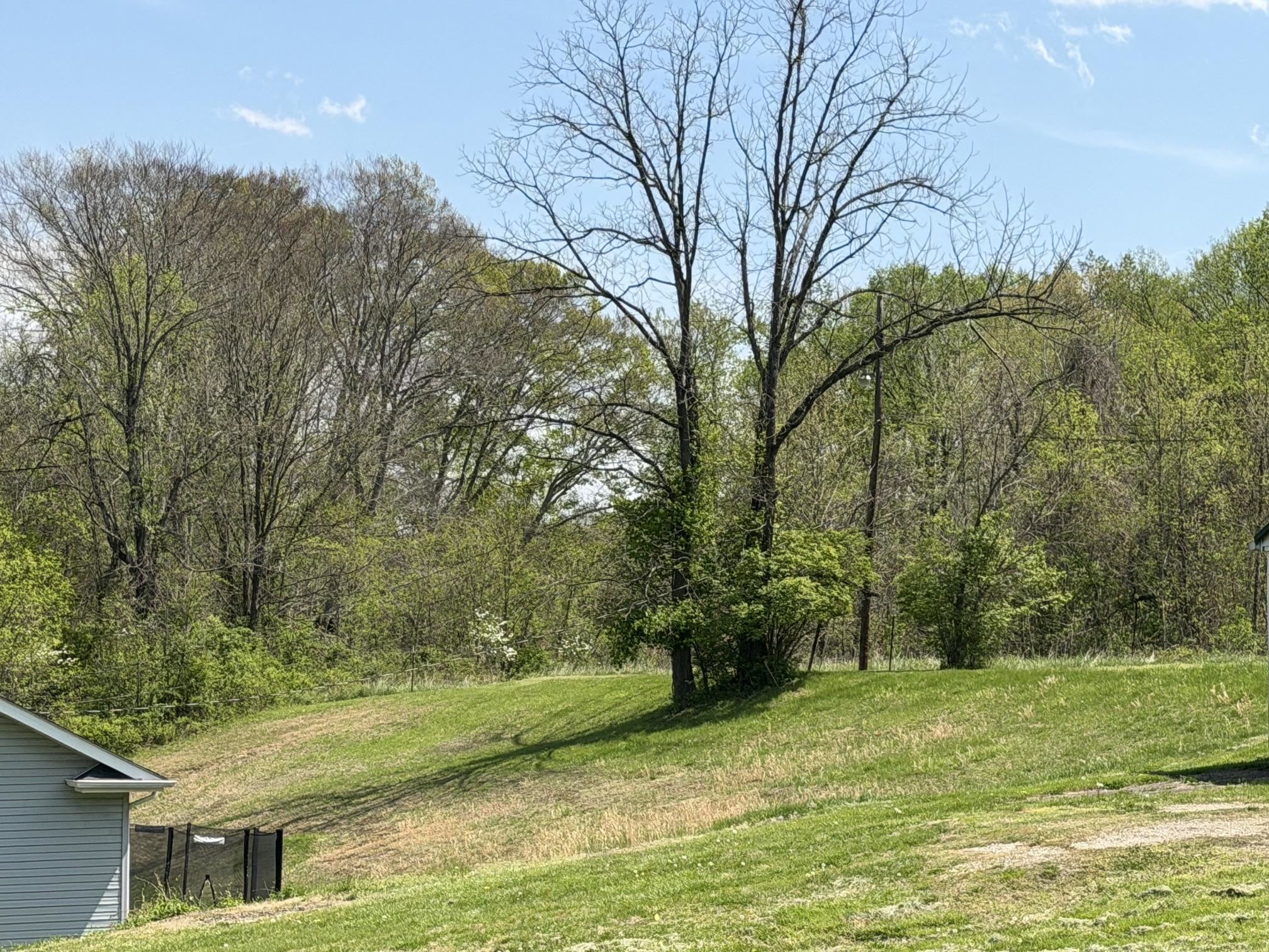 0 Pollard Road Ashland, KY 41101 - Photo 14 of 18