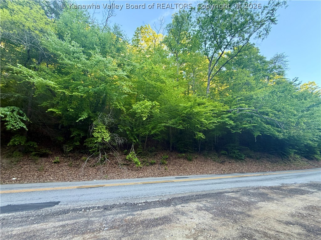 868 Bulger Road Alkol, WV 25501 - Photo 9 of 22 Gallery Image 9