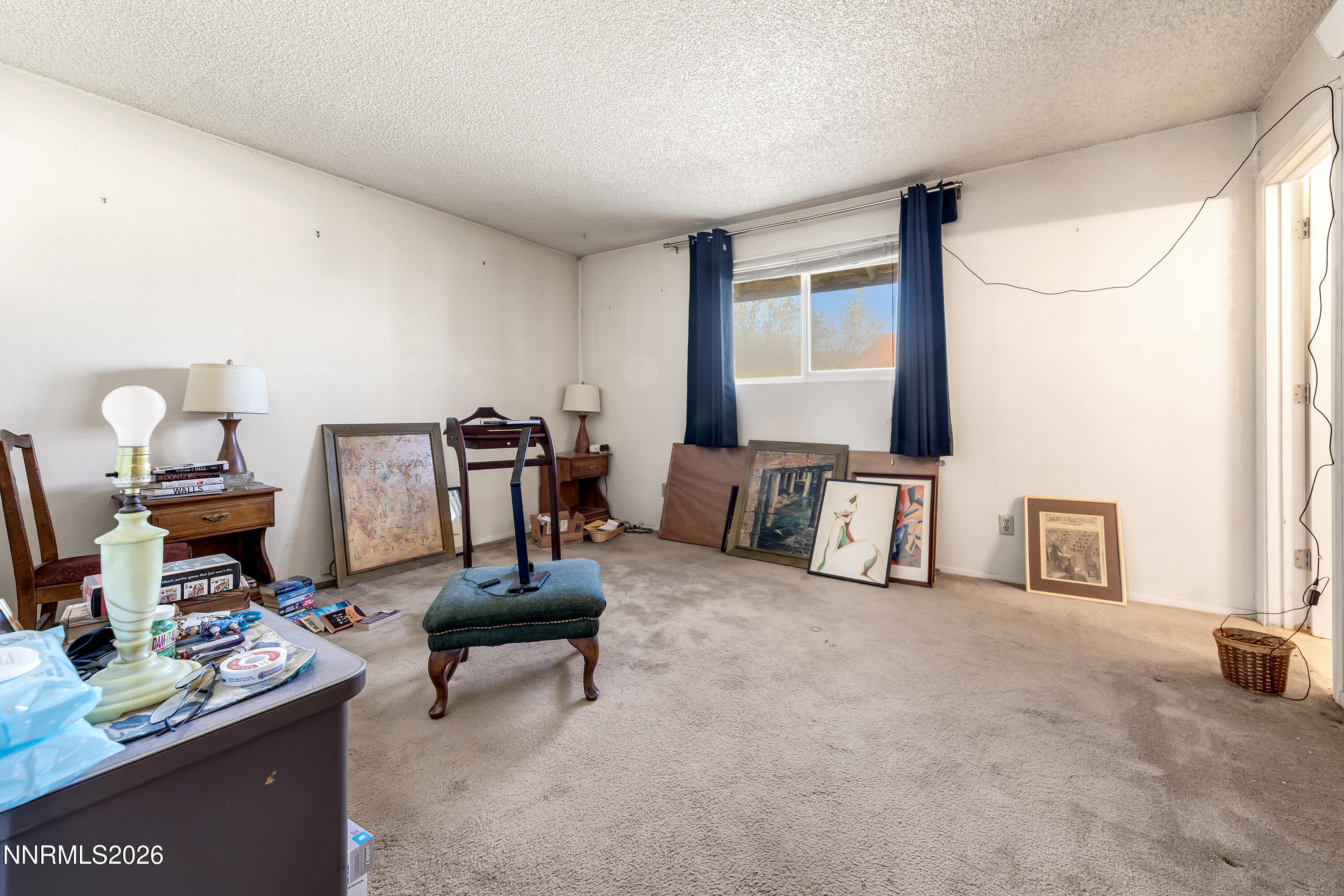 480 Chickadee Drive Reno, NV 89506 - Photo 14 of 43 Chickadee480-007