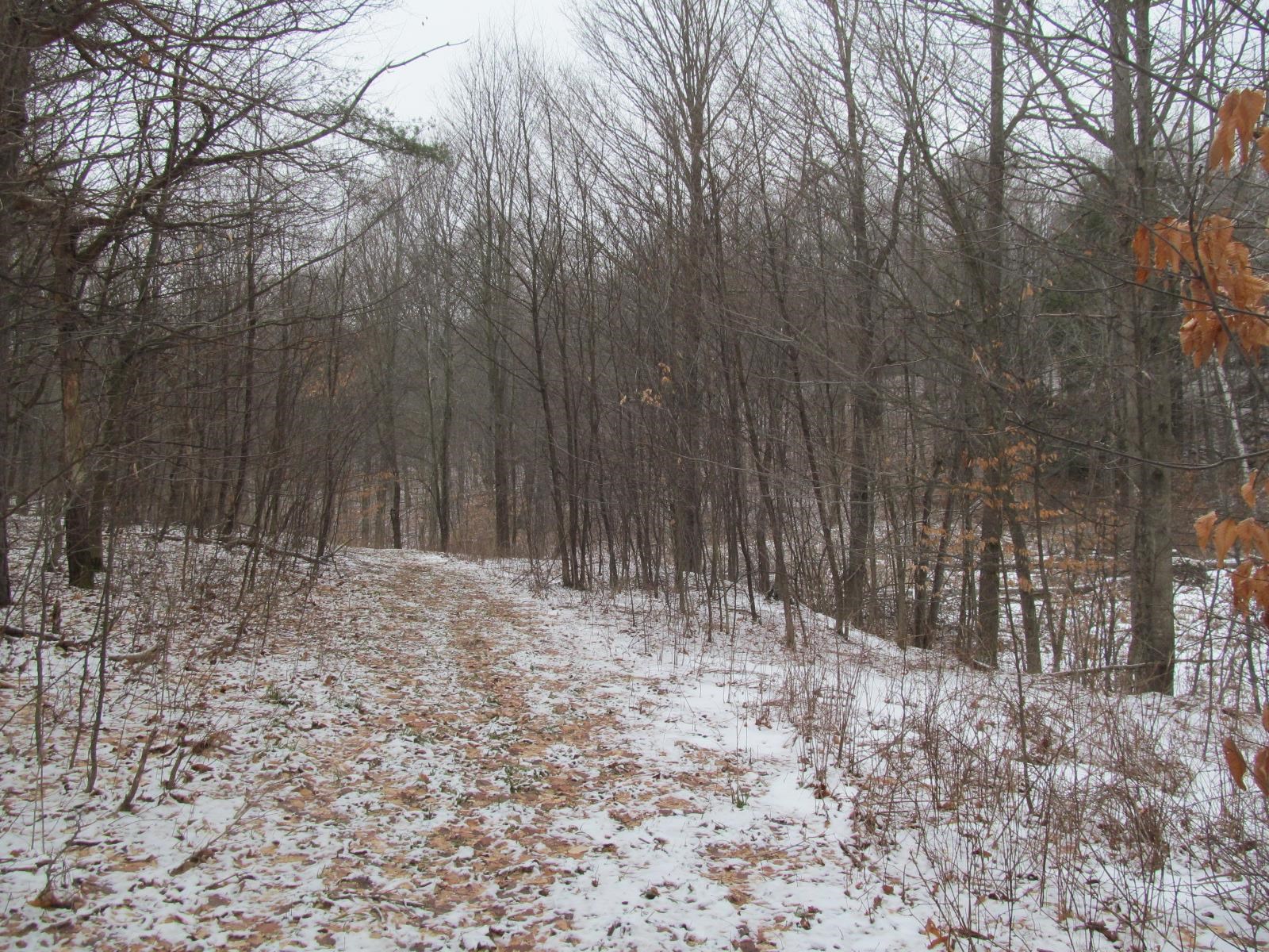 10-acres North 23 Road Mesick, MI 49668 - Photo 14 of 18