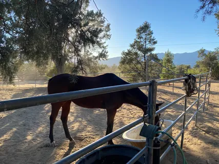 $460,000 | 62950 Pinyon Drive, Mountain Center, CA 92561