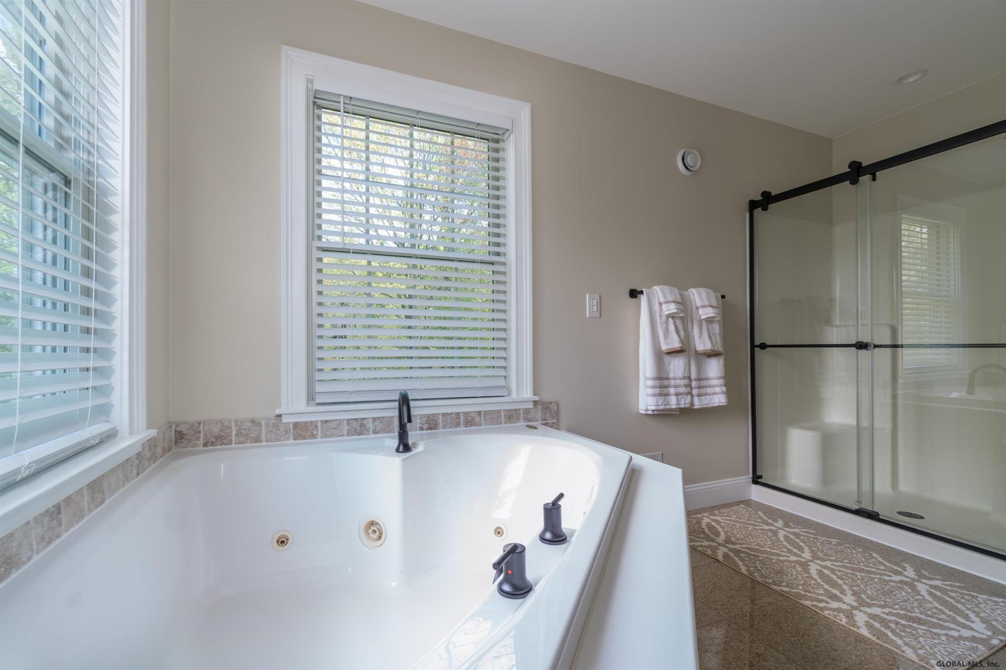5 Lazur Road Ballston, NY 12019 - Photo 40 of 99 Photo 40
