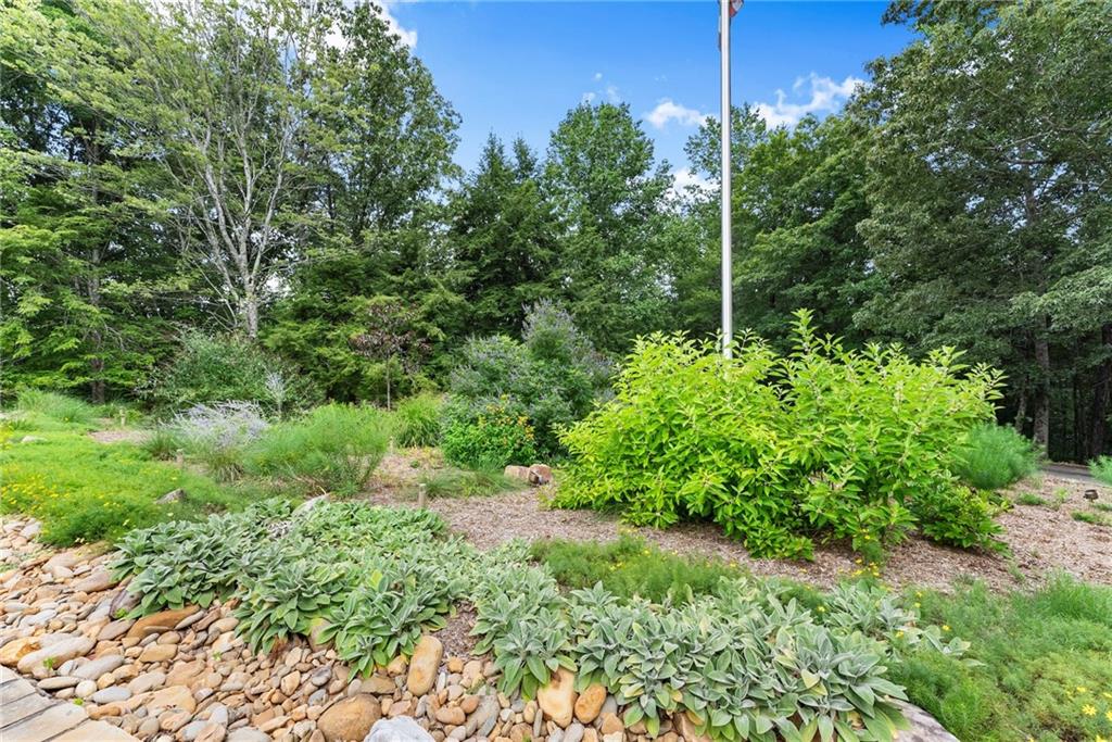 77 Old River Road Dahlonega, GA 30533 - Photo 15 of 98