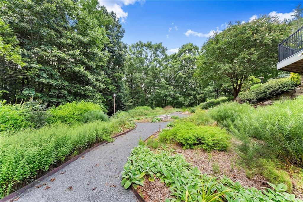 77 Old River Road Dahlonega, GA 30533 - Photo 16 of 98 a view of a garden with plants and large trees